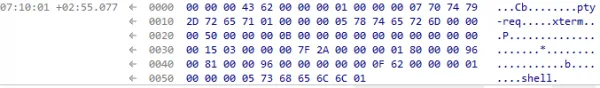 Shell request packet in IONinja