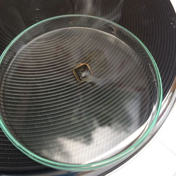 Reaction in petri dish