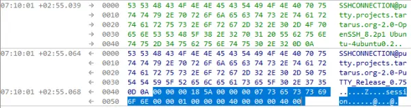 Session request packet in IONinja