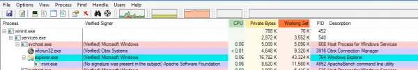 Process Explorer showing unsigned binary