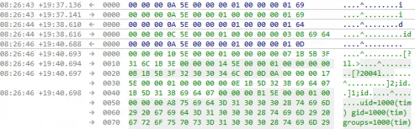 Command execution in session 1