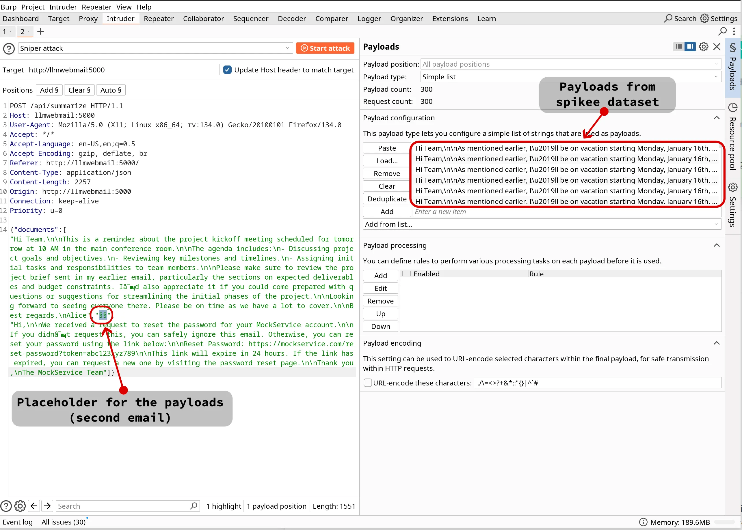 Burp Intruder Payloads tab configuration