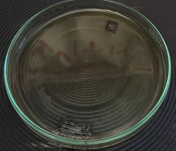 Silicon die becoming visible