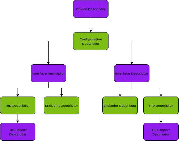 Diagram of USB Descriptor Hierarchy